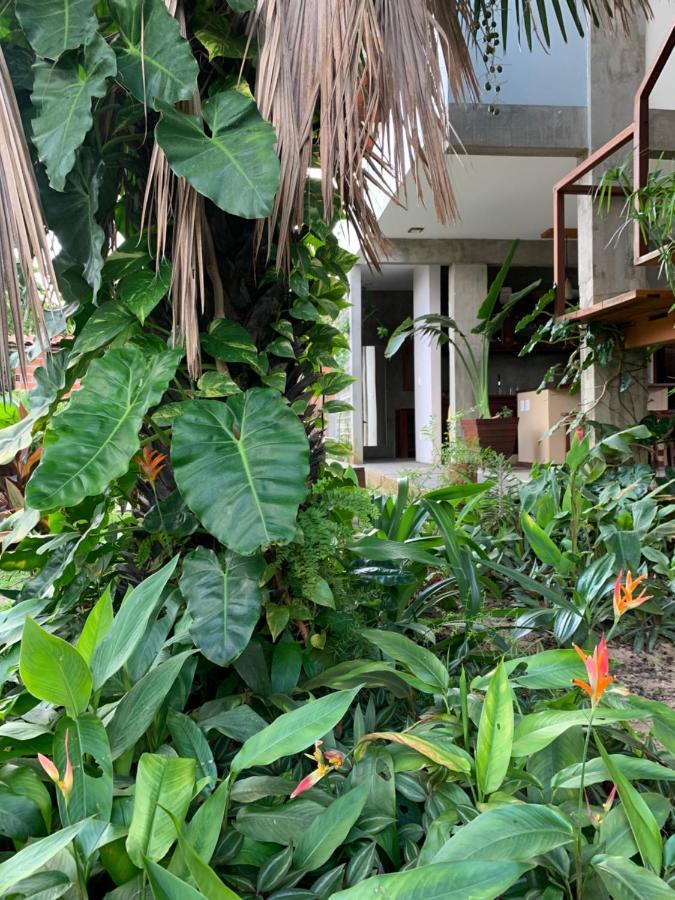 Vila Das Aguas アチンス エクステリア 写真